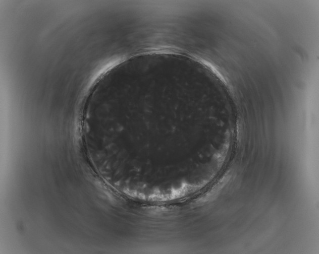 X0000114191405200911061353