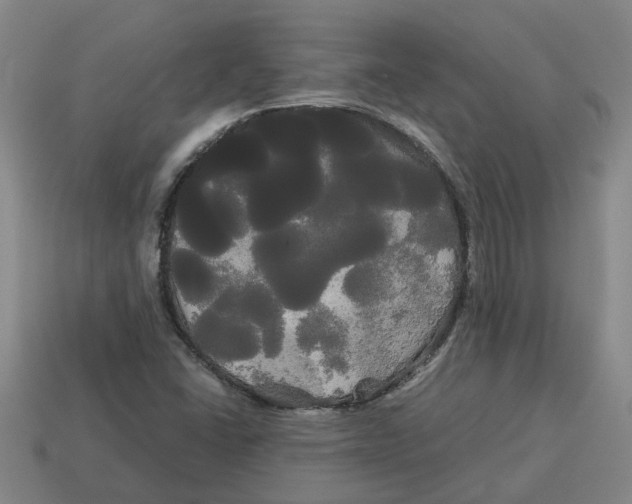 X0000114191406200911061353
