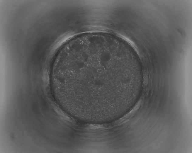X0000114191407200911061353