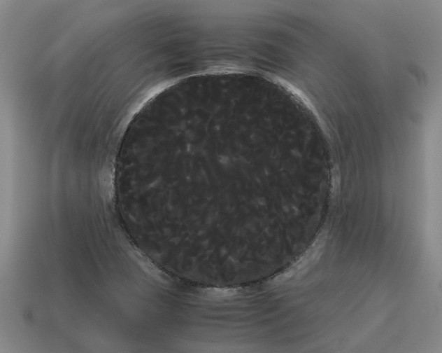 X0000114191409200911061353