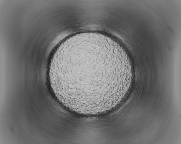 X0000114191410200911061353