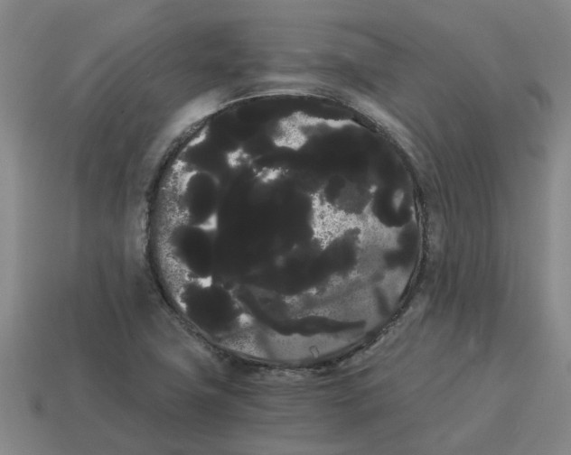 X0000114191411200911061353