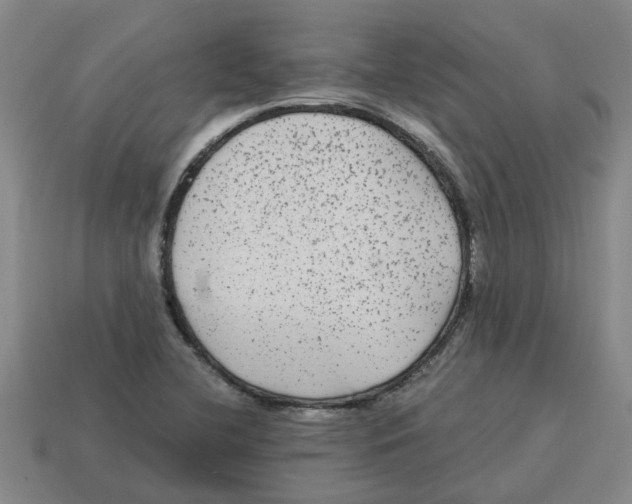 X0000114191412200911061353