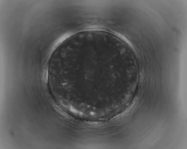X0000114191413200911061353