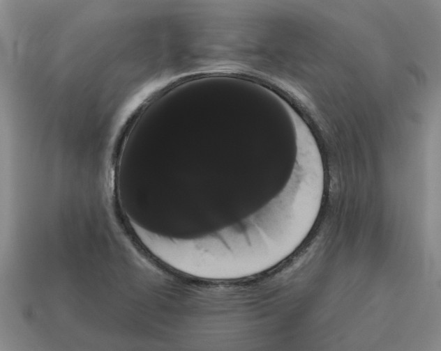 X0000114191414200911061353