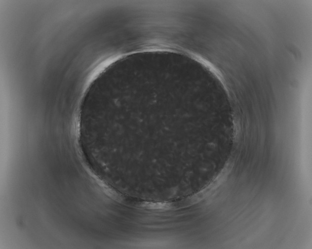 X0000114191415200911061353