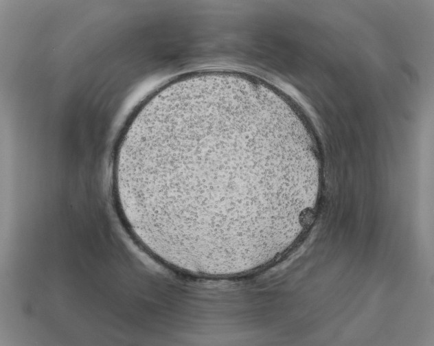 X0000114191416200911061353