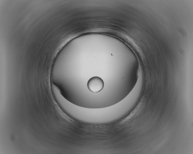 X0000114191417200911061353