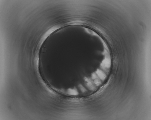 X0000114191418200911061353