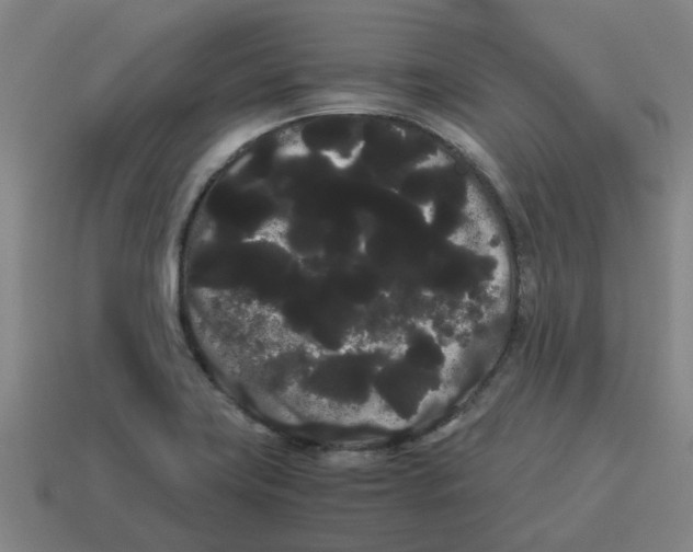 X0000114191419200911061353