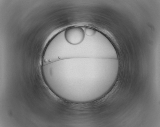 X0000114191420200911061353