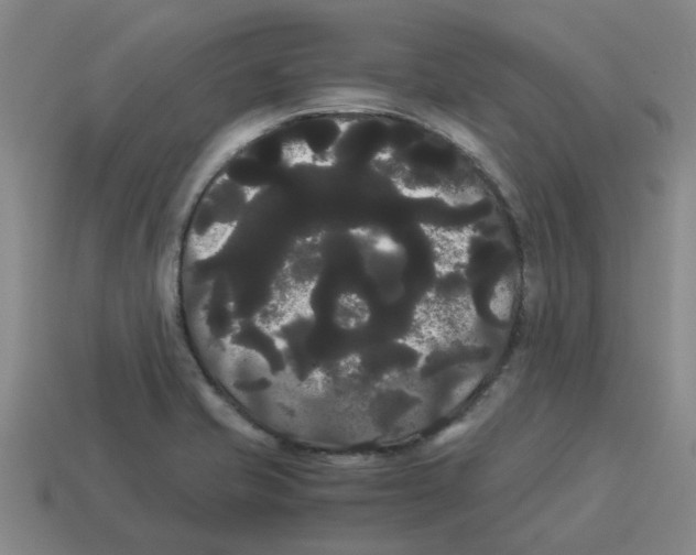 X0000114191421200911061353