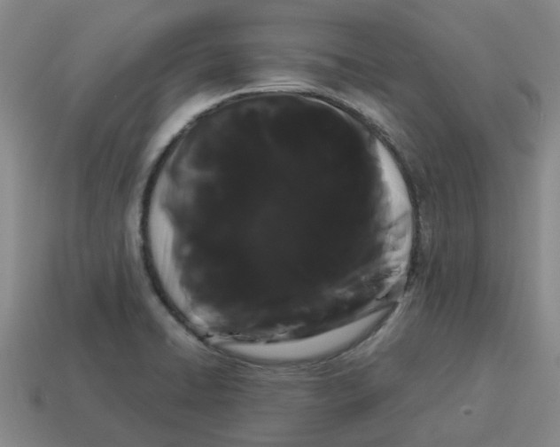 X0000114191422200911061353
