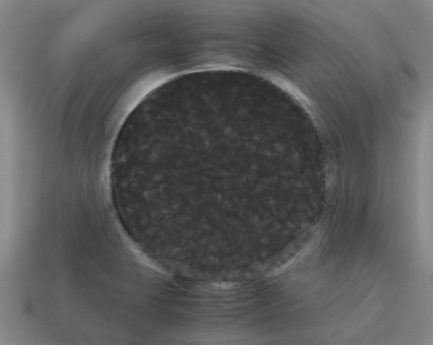 X0000114191423200911061353