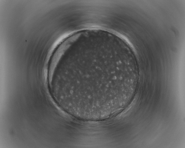 X0000114191424200911061353