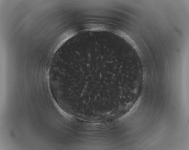 X0000114191425200911061353