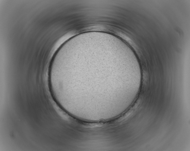 X0000114191426200911061353