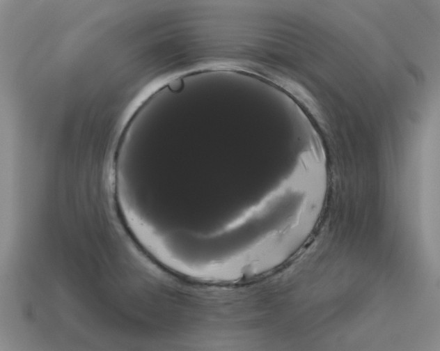 X0000114191428200911061353