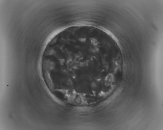 X0000114191429200911061353