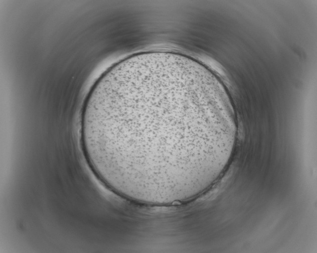 X0000114191430200911061353