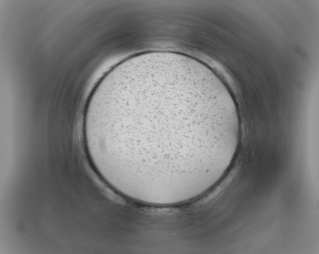 X0000114191432200911061353
