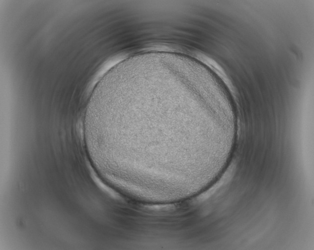 X0000114191433200911061353
