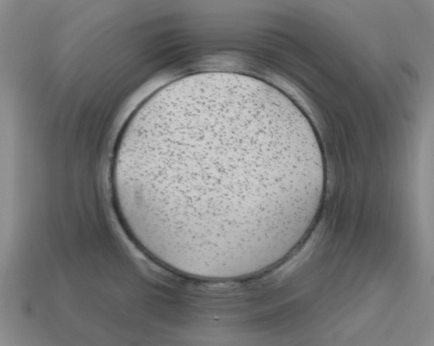 X0000114191434200911061353