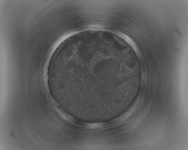 X0000114191435200911061353