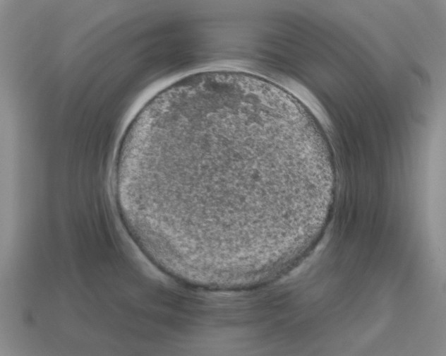 X0000114191436200911061353