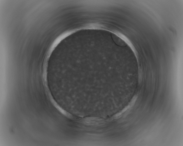 X0000114191437200911061354