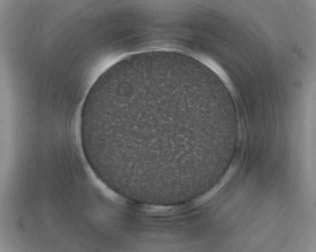 X0000114191439200911061354