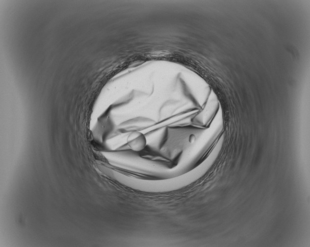 X0000114191441200911061353