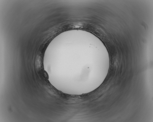 X0000114191442200911061353