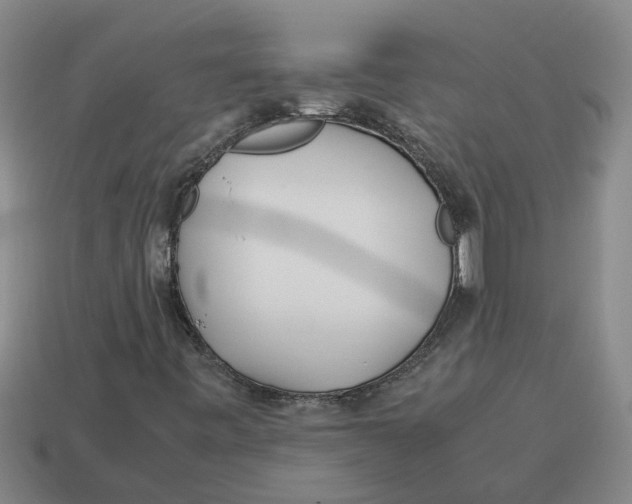 X0000114191443200911061353