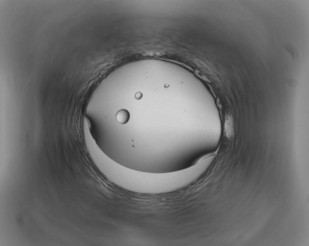 X0000114191444200911061353