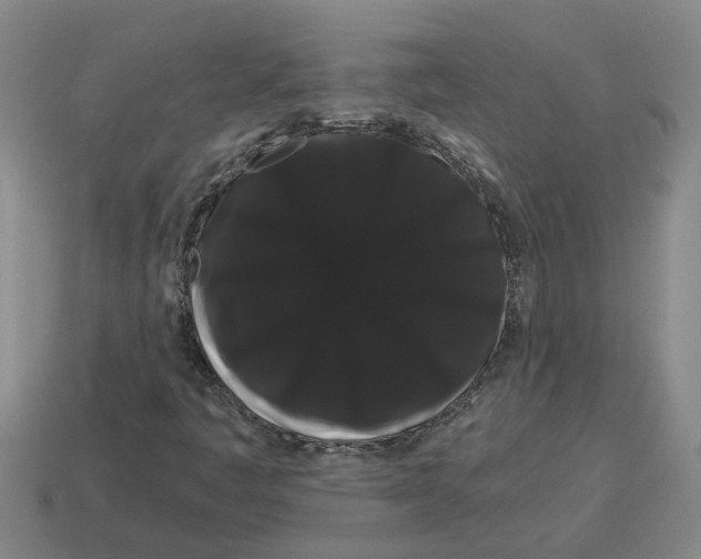 X0000114191445200911061353
