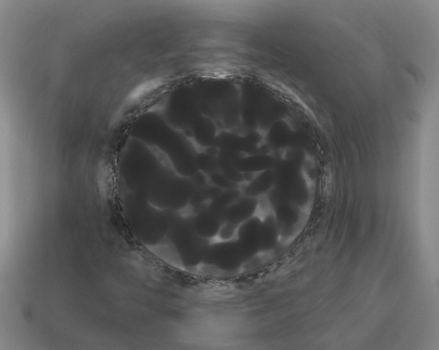 X0000114191446200911061353