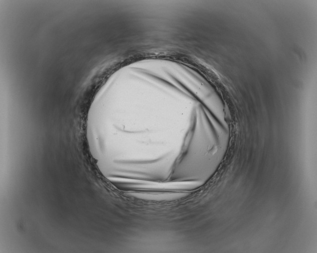 X0000114191447200911061353
