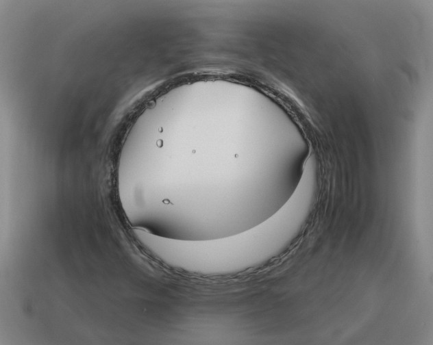 X0000114191448200911061353