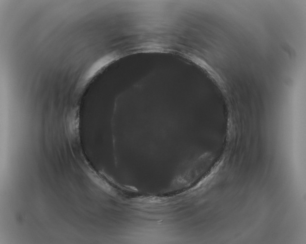 X0000114191450200911061353