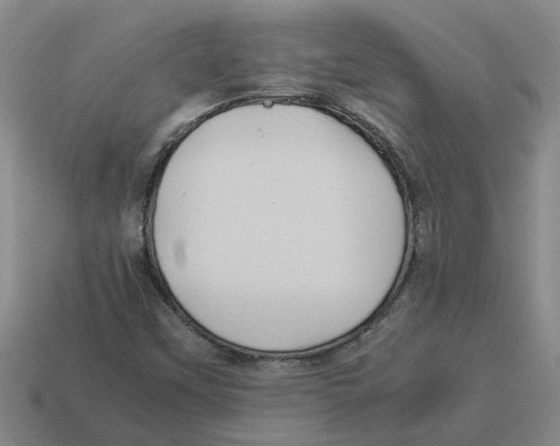 X0000114191451200911061353
