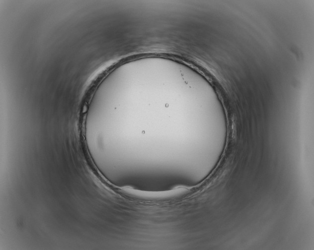X0000114191452200911061353