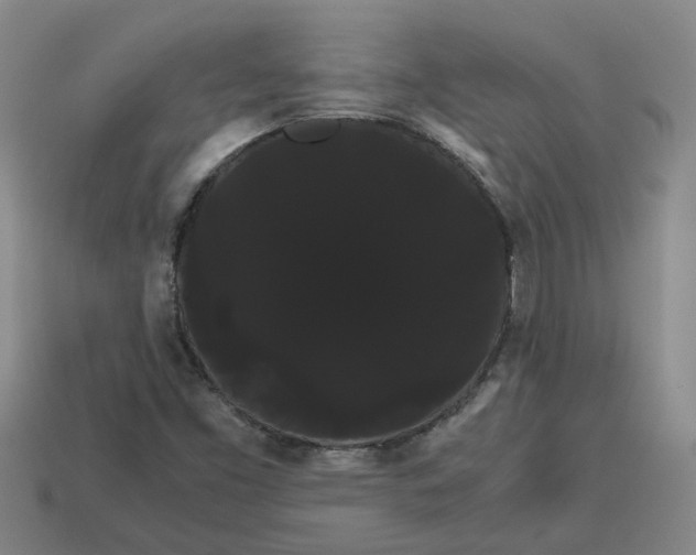 X0000114191453200911061353