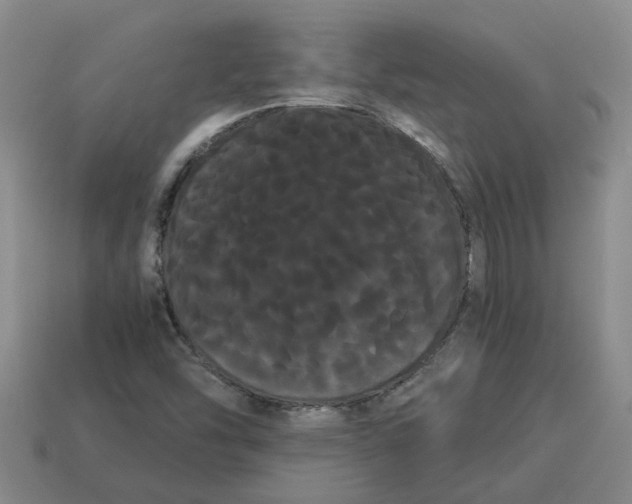 X0000114191454200911061353