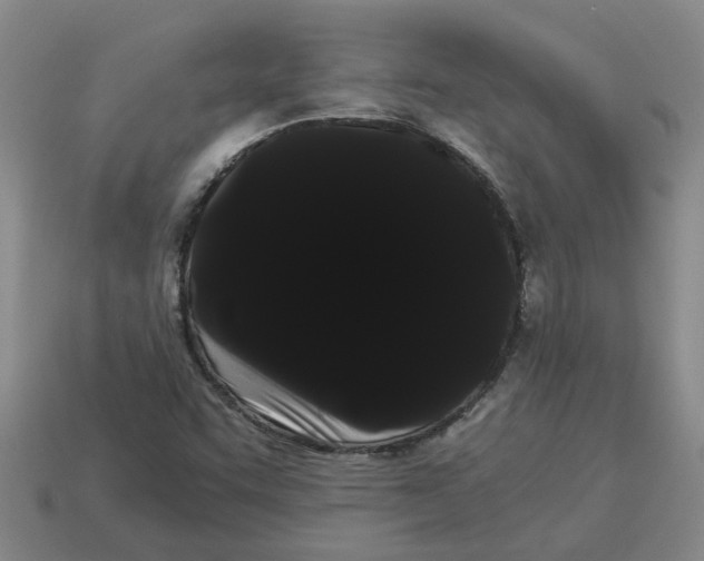 X0000114191455200911061353