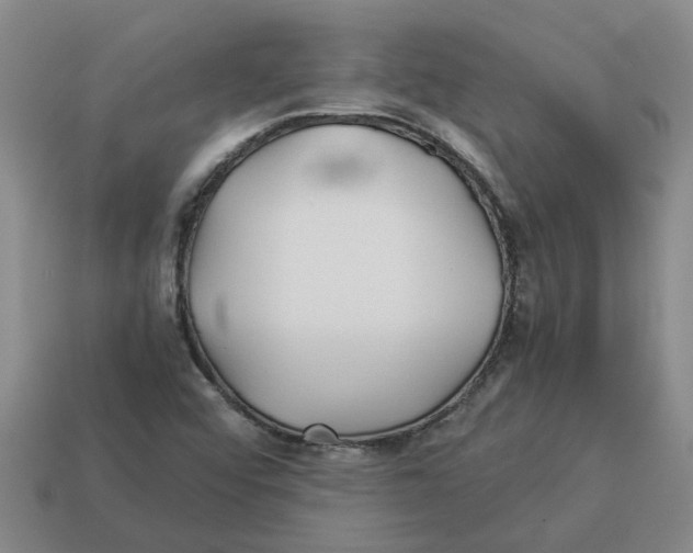 X0000114191456200911061353