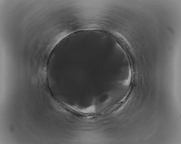 X0000114191457200911061353