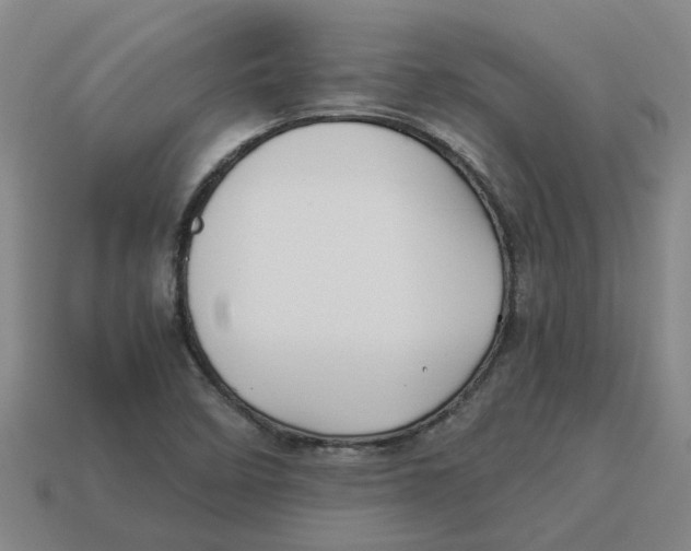 X0000114191458200911061353