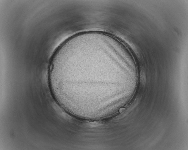 X0000114191460200911061353