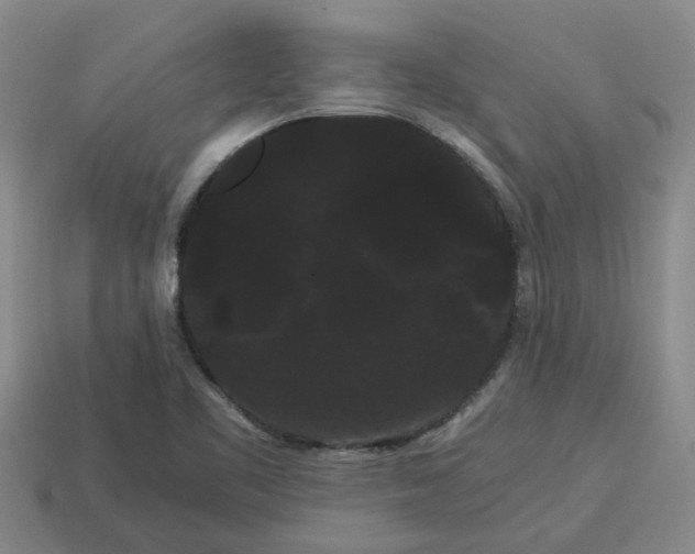 X0000114191461200911061353